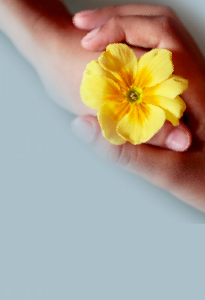 L.E. Aula 134 — Justiça e direitos naturais