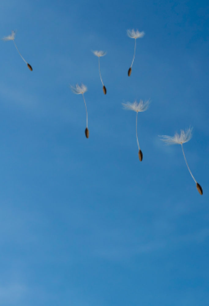 L.E. Aula 138 — As virtudes e os vícios — Parte 1/2