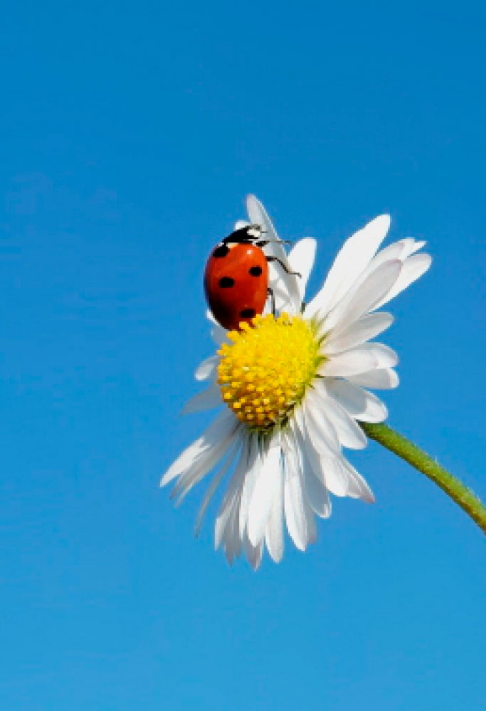 L.E. Aula 154 — Intervenção de Deus nas penas e recompensas