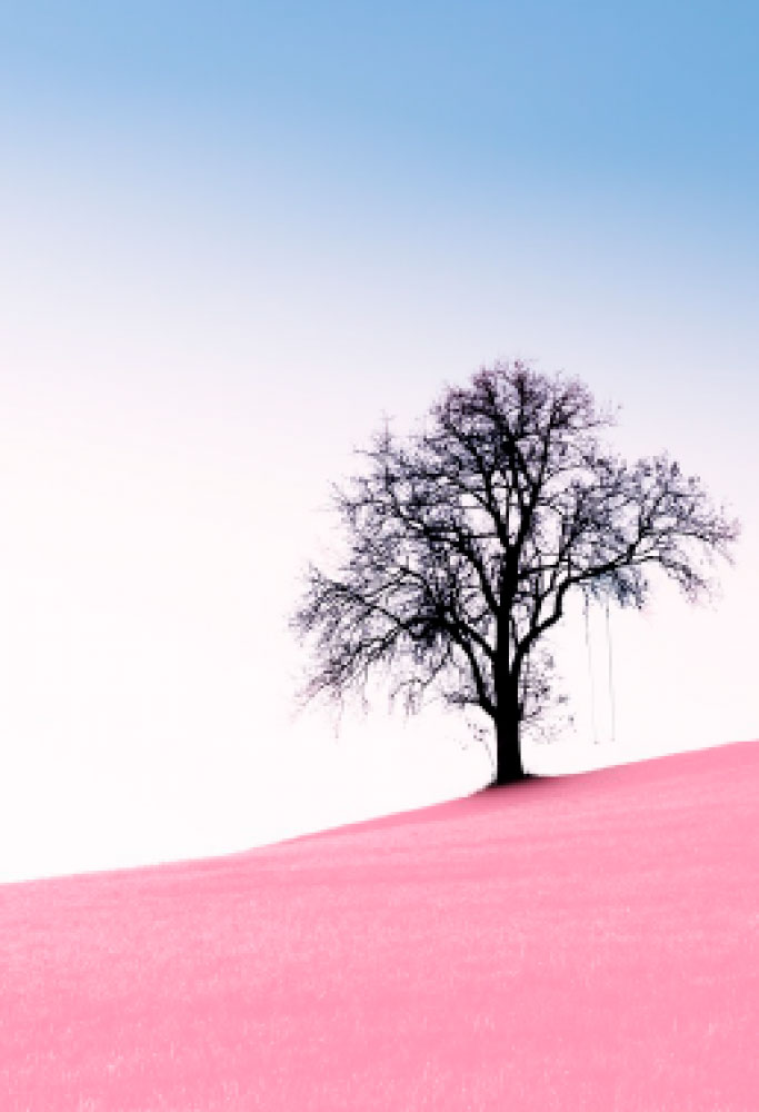 L.E. Aula 158 — Expiação e arrependimento