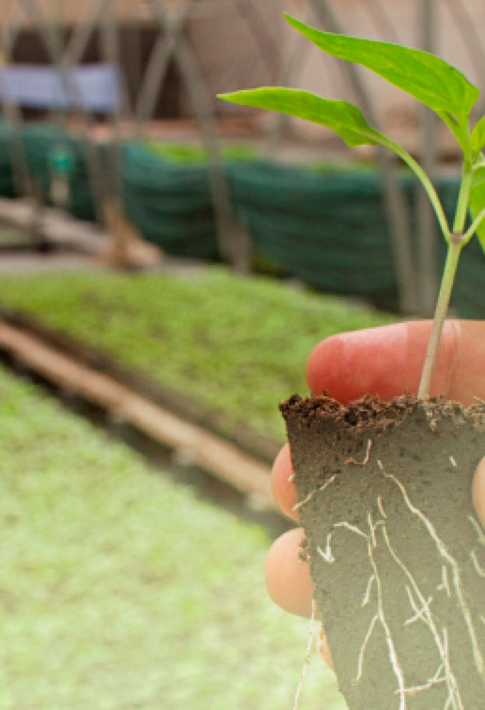 L.E. Aula 89 — Necessidade do trabalho