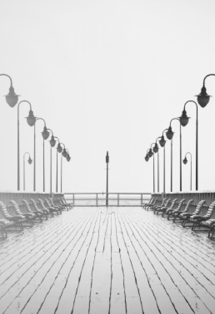 L.E. Aula 95 — Poligamia