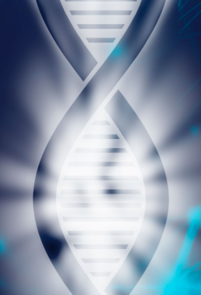 L.E. Aula 92 — Sucessão e aperfeiçoamento das raças