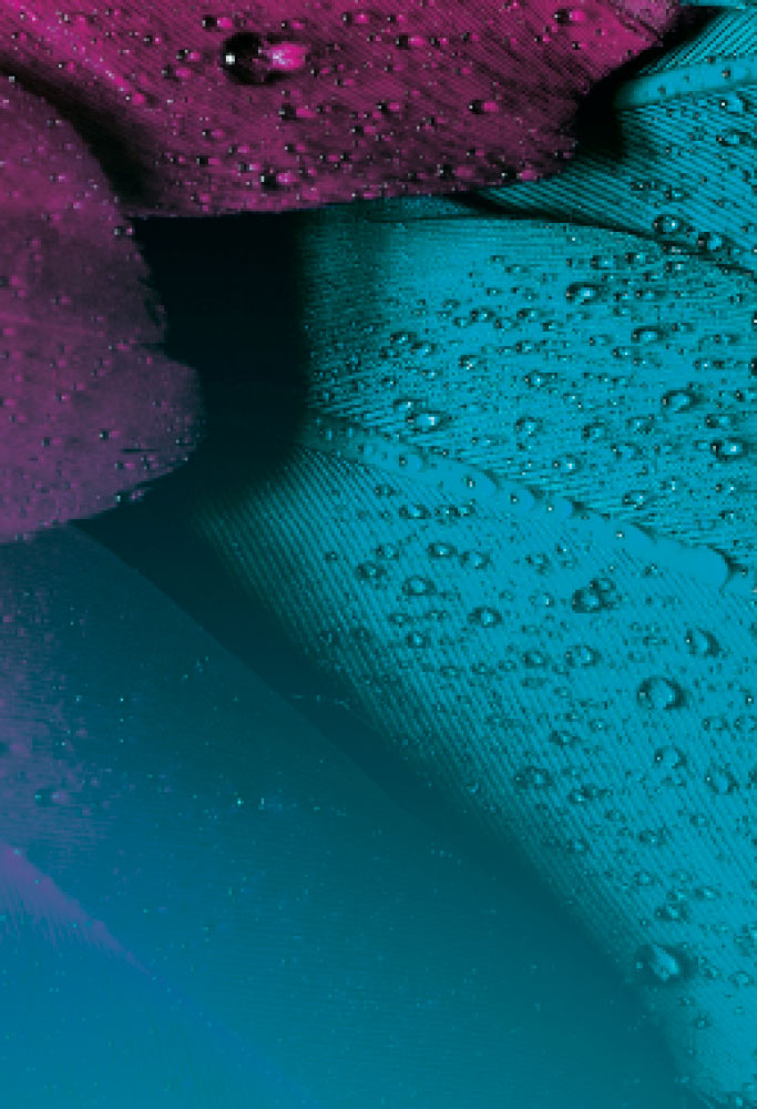 L.E. Aula 94 — Casamento e celibato