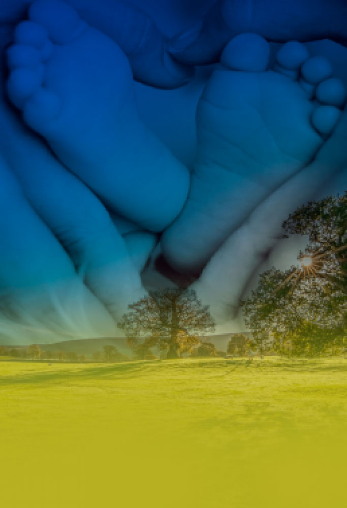 L.E. Aula 96 — Instinto de conservação