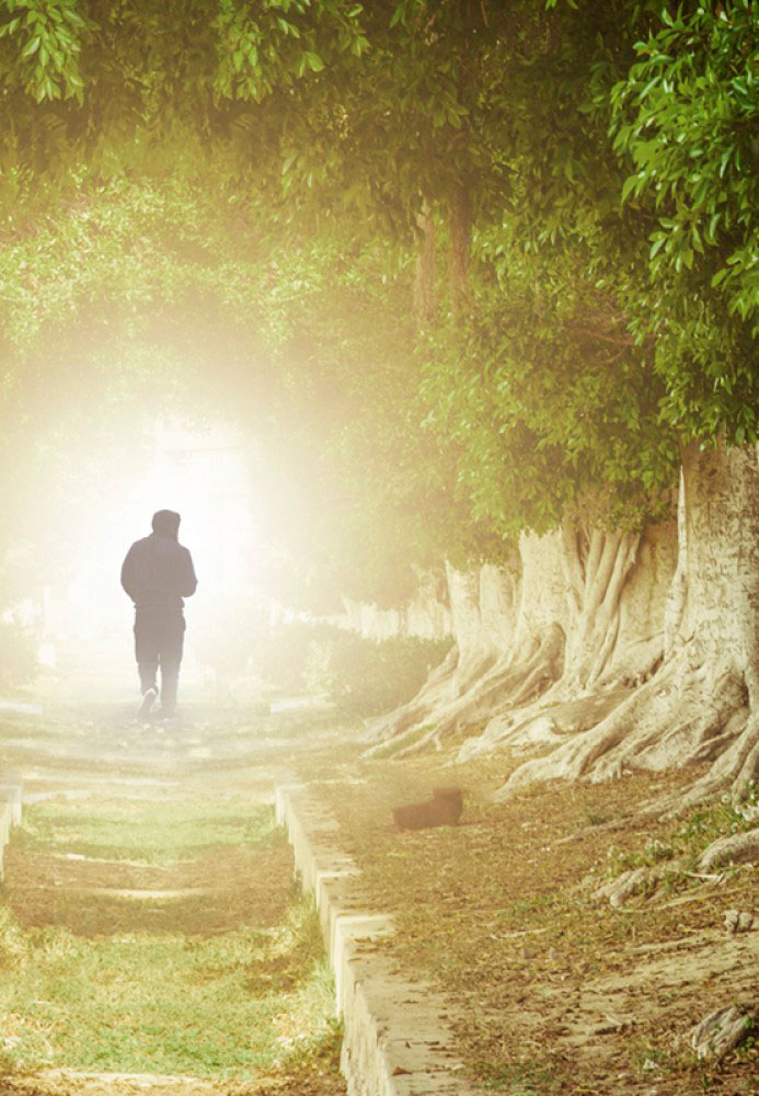 L.E. Aula 74 — Metempsicose