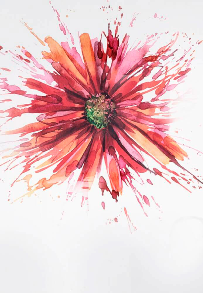 L.E. Aula 55 — Possessos