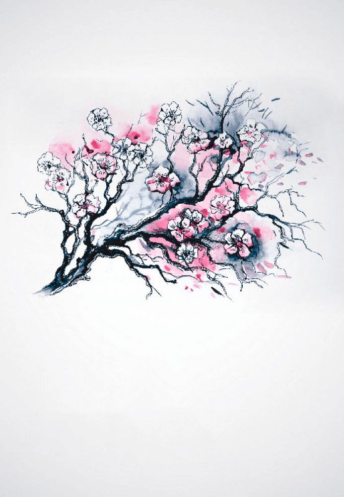 L.E. Aula 11 — Alma e materialismo