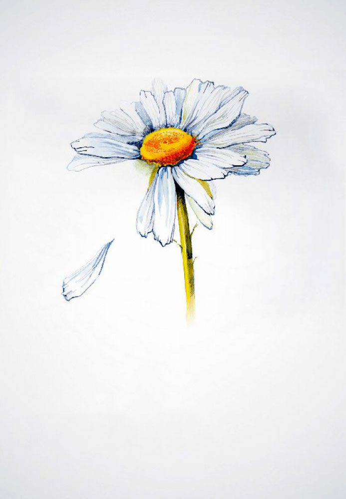 L.E. Aula 18 — Sorte das crianças; Sexo nos Espíritos.