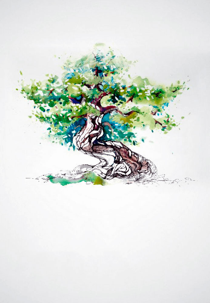 L.E. Aula 19 — Parentesco, filiação