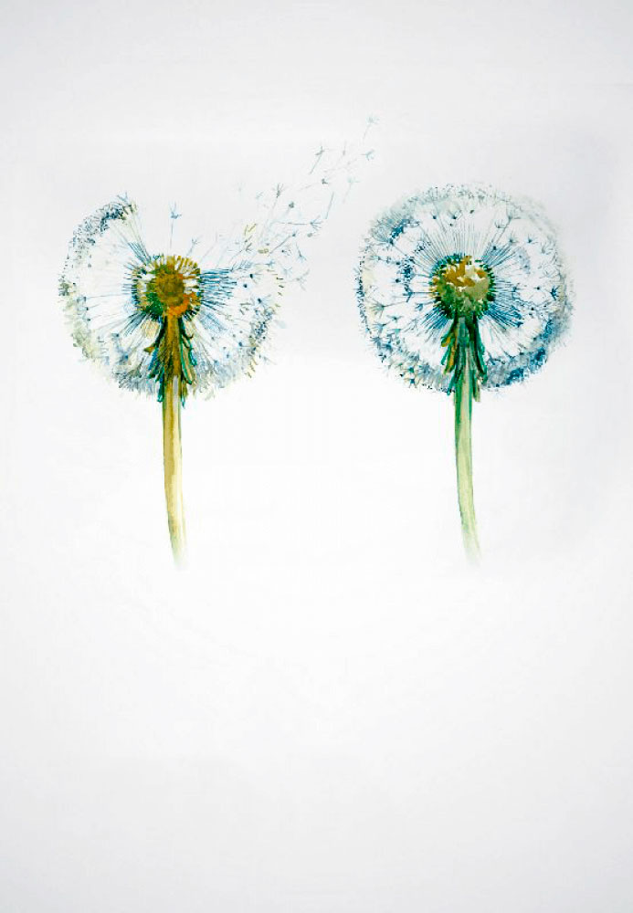 L.E. Aula 20 — Semelhanças físicas e morais