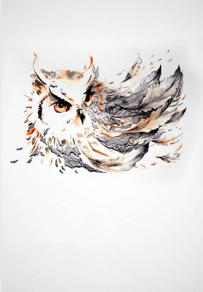 L.E. Aula 38 — Faculdades morais e intelectuais do homem